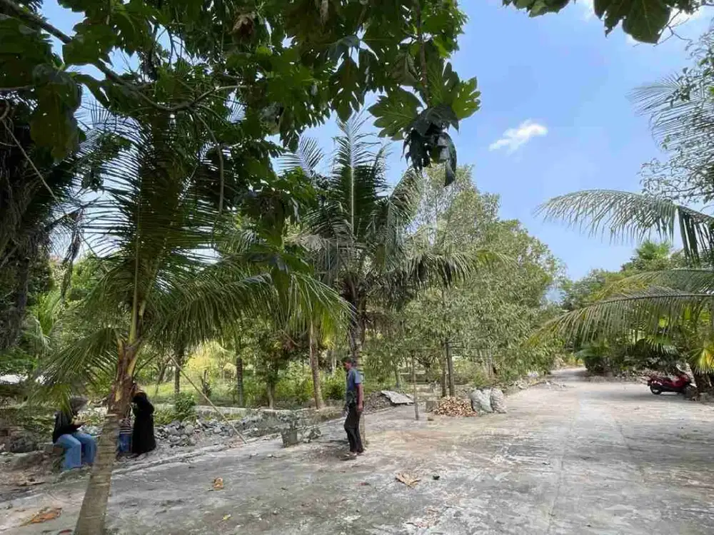 Dijual Murah Hanya 6M saja Tanah Darat di Loji Luas 20.335 m² Surat SHM