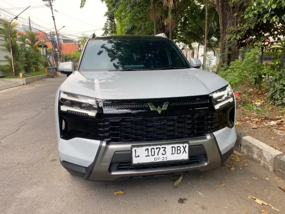 Wuling eksion ex phev