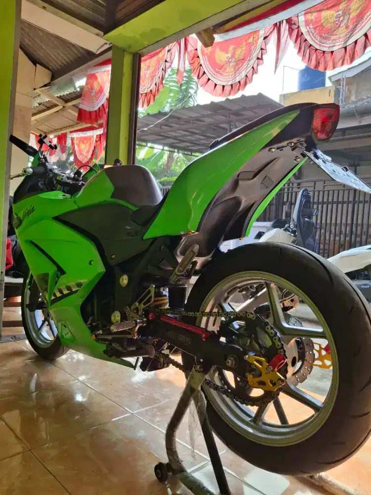 Ninja 250 karbu istimewa