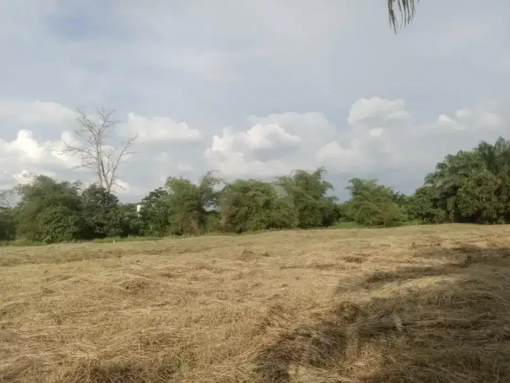 Dijual Tanah Luas 8200 M2 di Jl Lingkar Danau Rumbai Pesisir Pekanbaru