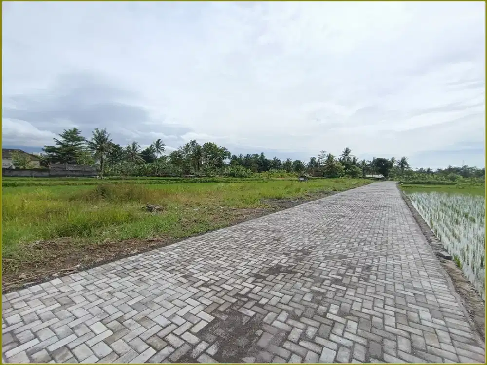 View Sawah Tanah Murah Jl.Kaliurang Jogja : SHM Pekarangan