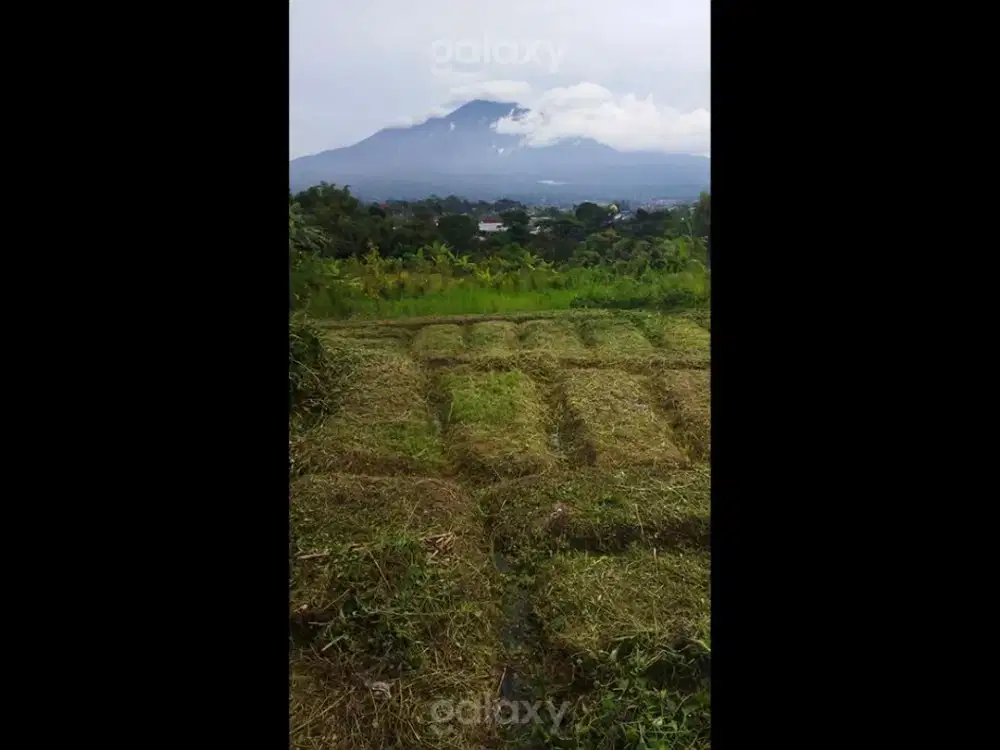 Tanah Strategis 600 m2 Kota Batu Dekat Objek Wisata GMK04322