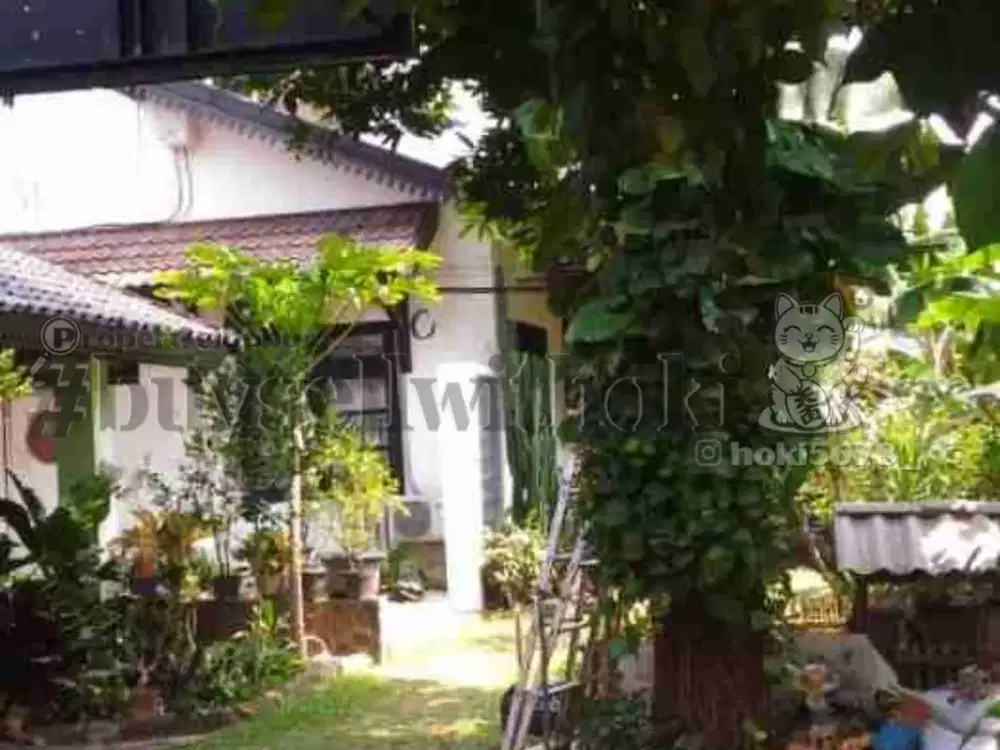 HALAMAN LUAS (DIJUAL RUMAH 2lt  ) BUKIT PERMAI CIBUBUR, Jakarta Timur, Bekasi, Bogor, Jakarta Selatan, Jakarta Pusat, Jakarta Utara,Kab Bogor, kab Bekasi,Depok,Cileungsi
Kota Wisata, Harja Mukti Tebet,Cilandak,Jagakarsa,Pancoran,Kebayoran baru, Kebayoran
