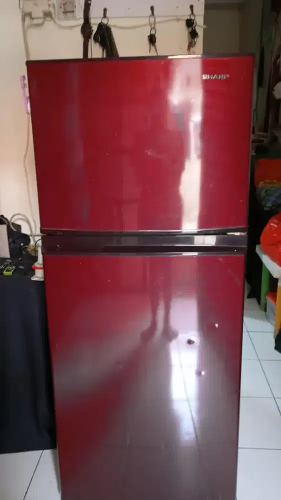 Kulkas sharp 2 pintu