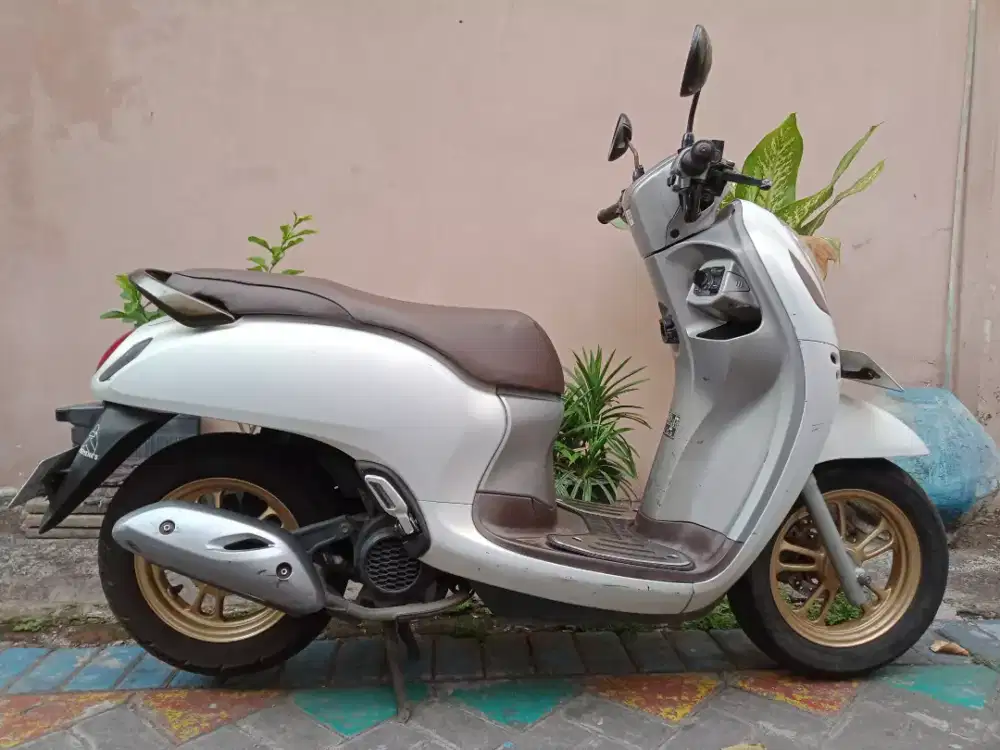 Scoopy Prestige keyles 2020