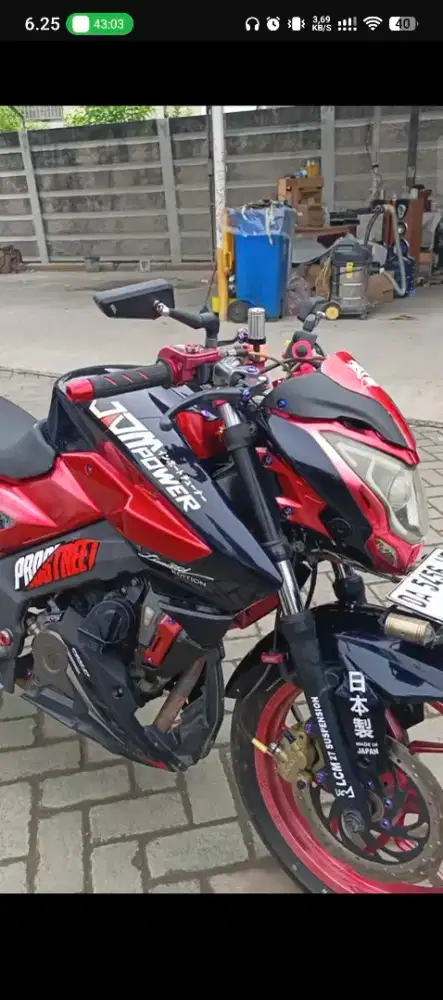 Kawasaki pulsar 200ns