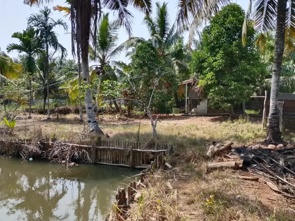 Dijual Kolam Ikan Pribadi 1,2 M nego