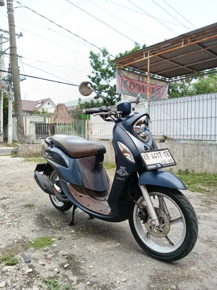 Fino Grande 2019 orisinil