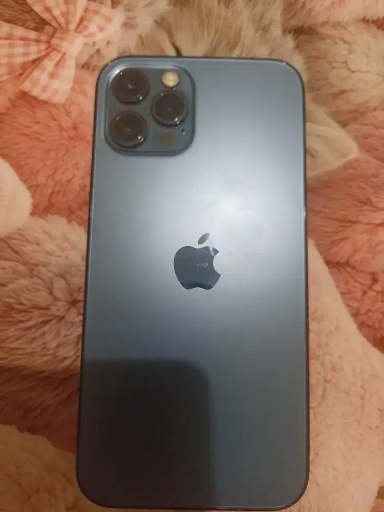 iPhone 12 pro 256 gb resmi kemenperin