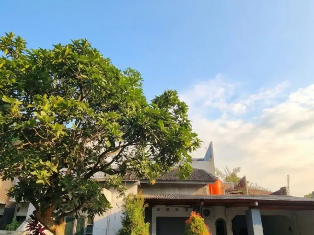 Dijual Rumah Murah 1 Lantai Siap Huni di PBI Araya, Kota Malang