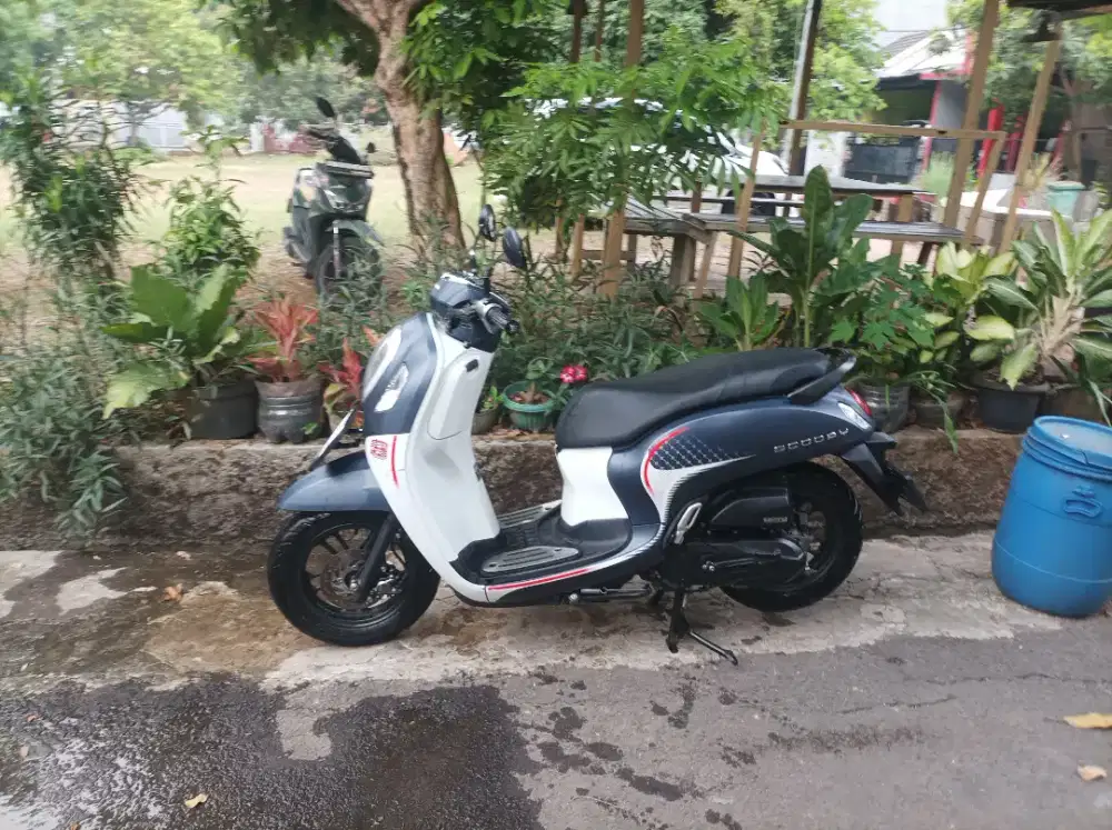 Honda Scoopy 2024