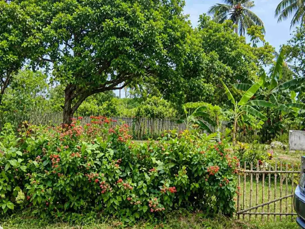 Dijual Tanah Darat Cisauk Tangerang