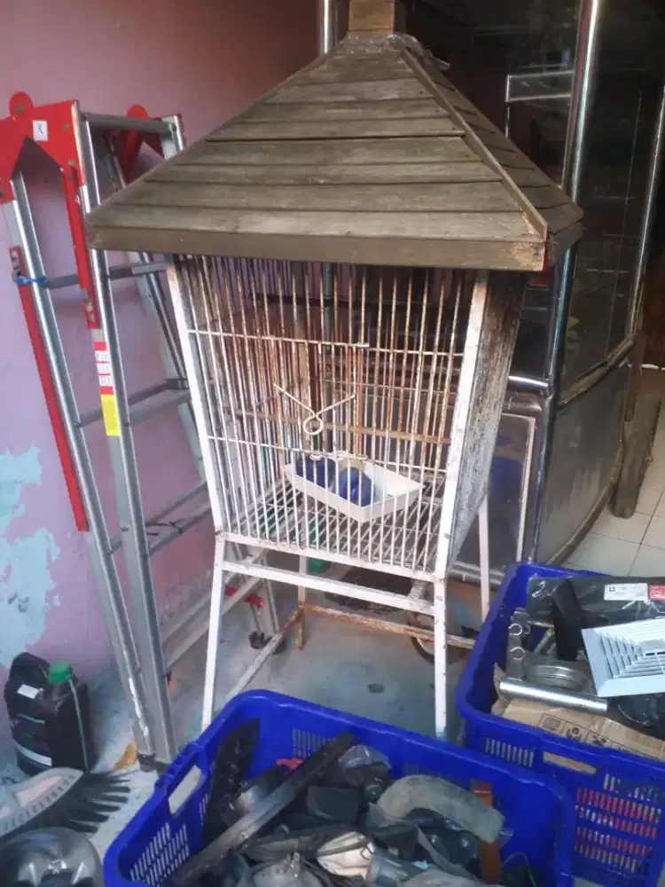 kandang burung bekas beo