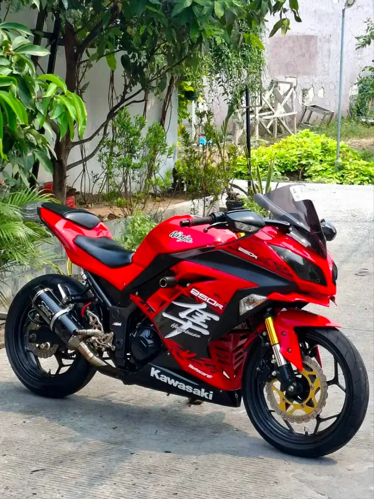 SPESIALIS KAWASAKI NINJA 250FI