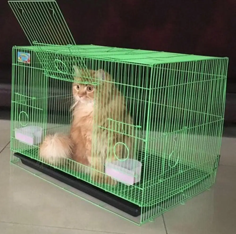 Kandang kucing lipat baru