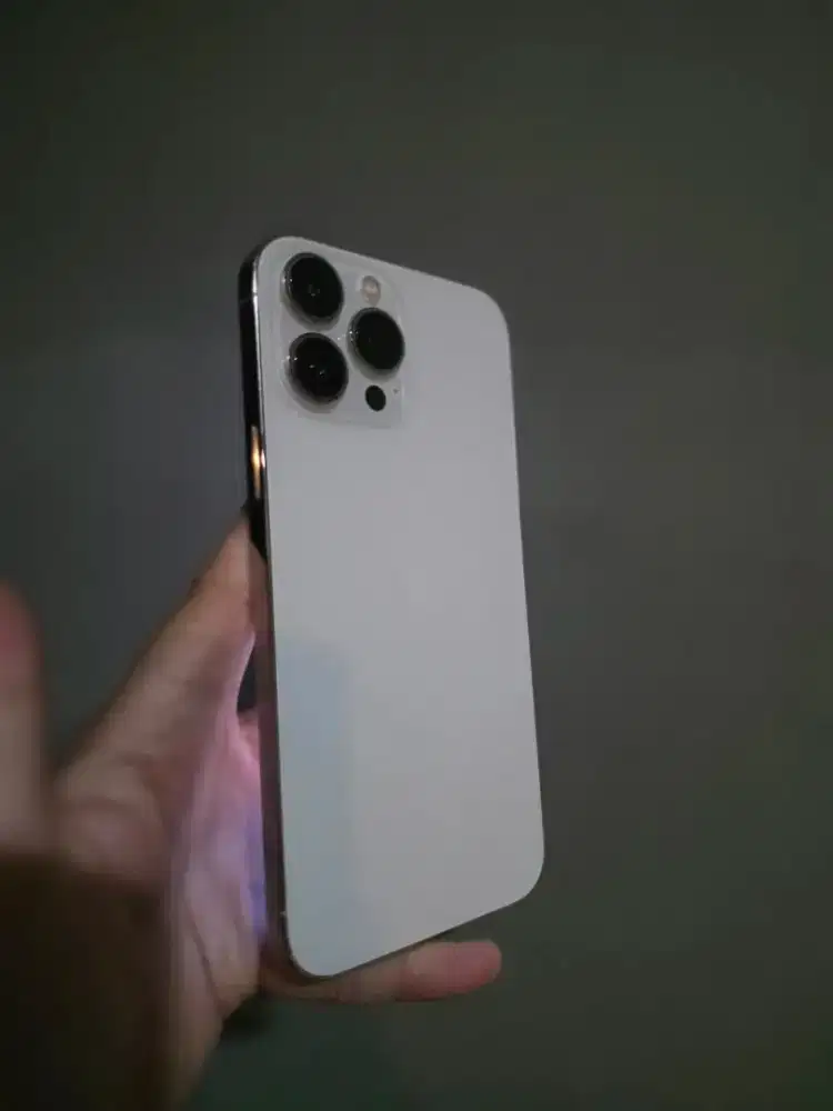 Iphone 13 pro max 256gb inter sudah cukai