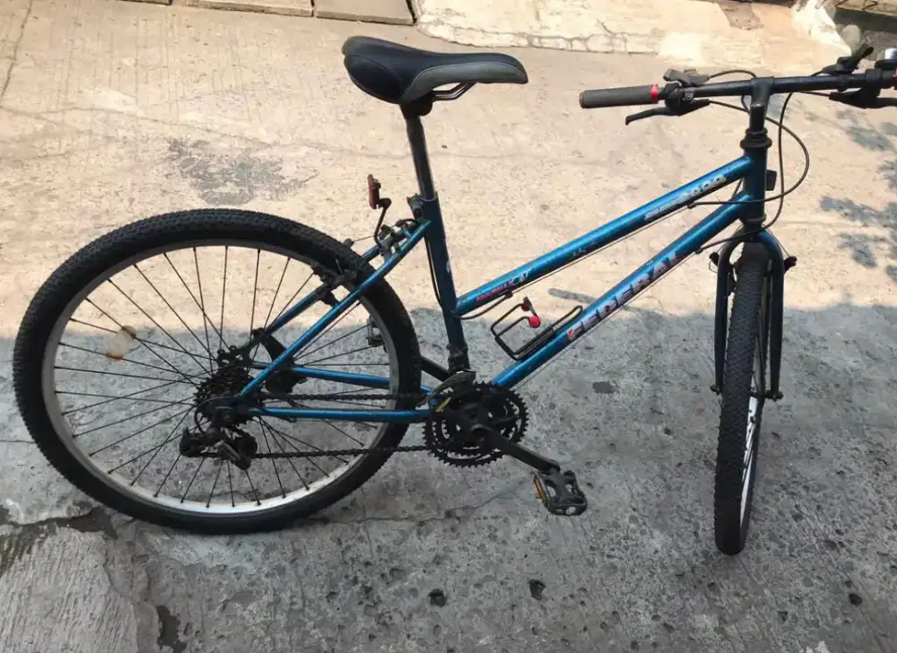 Sepeda Federal Marble (lady) SN FC