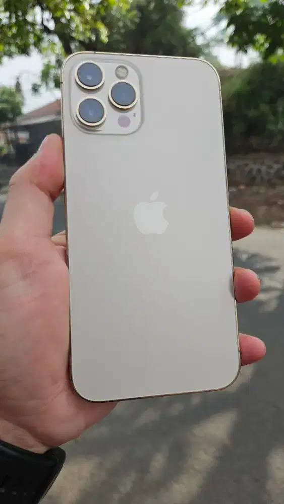 Iphone 12 ProMax 128GB Wifi only