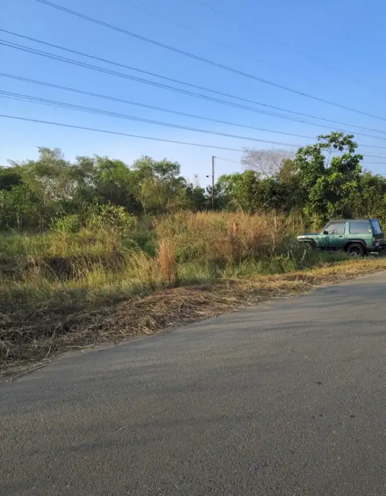 Dijual tanah shm lokasi dekat masjid agung trikora