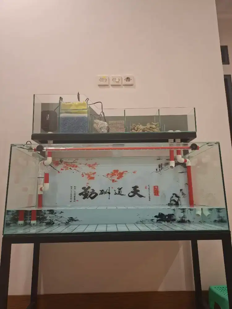 Aquarium kaca 100x40x40 fullset