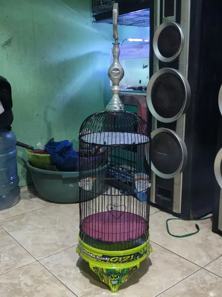 Kandang Helopet Pleci