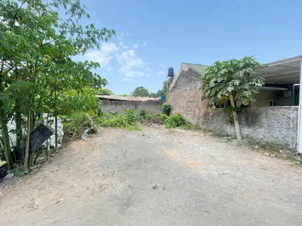 DIJUAL TANAH MURAH LEMPONGSARI JONGKANG PALAGAN BELAKANG SUPERINDO - 100M JL LEMPONGSARI - 500M RINGROAD UTARA - SHM - 4,5JT/m2 TERMURAH!