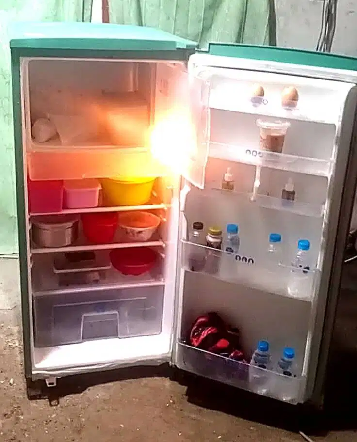 Kulkas 1 pintu LG EXPRESCOOL.Mesin Original Pabrik Belum Pernah Rusak.
