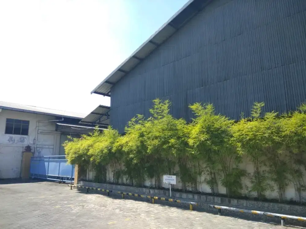 LEGUNDI - Karangandong