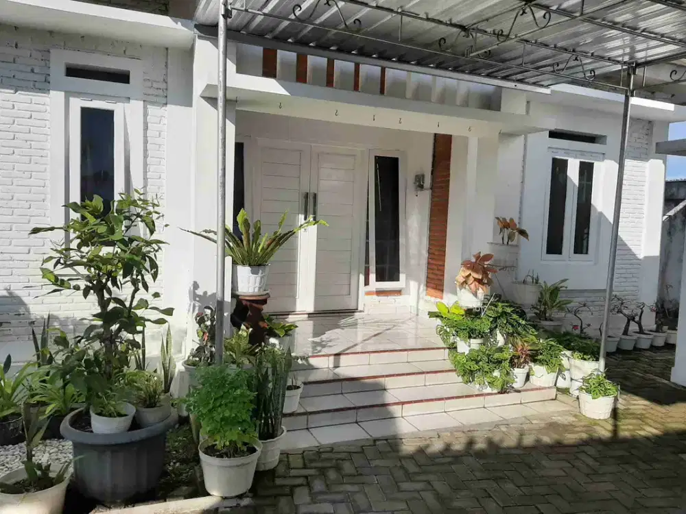 dijual rumah modern 1 lantai nuansa asri di pedesaan sejuk dan tenang dekat iwak kalen resto