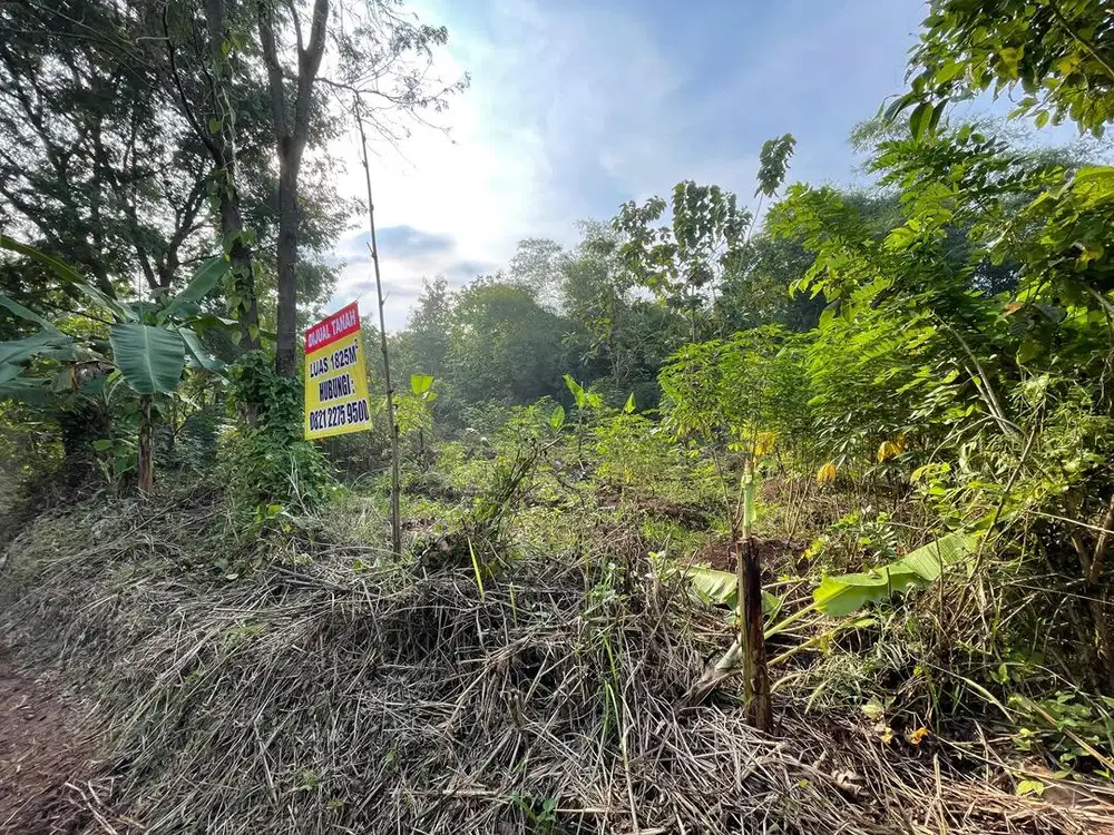 DIJUAL TANAH CEPAT - BU