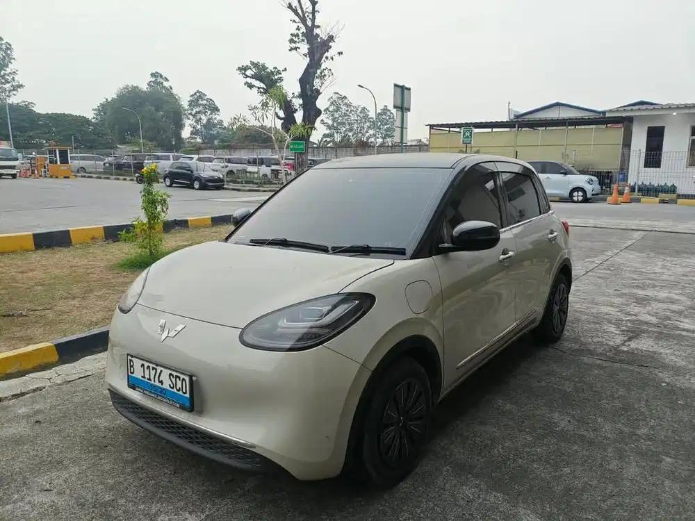 Jual Binguo bagus