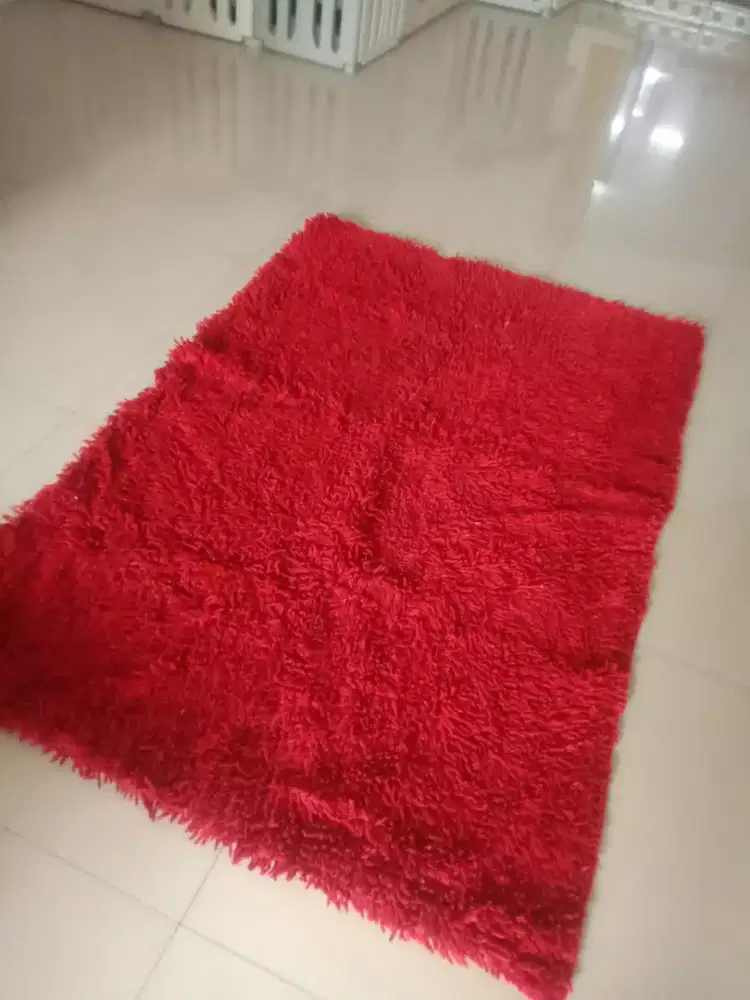 KARPET MERAH BULUDRU LUCU