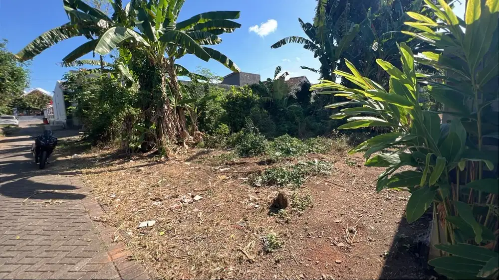 [DIJUAL] Tanah Kavling Siap Bangun di Karangbendo, Banyuwangi – SHM