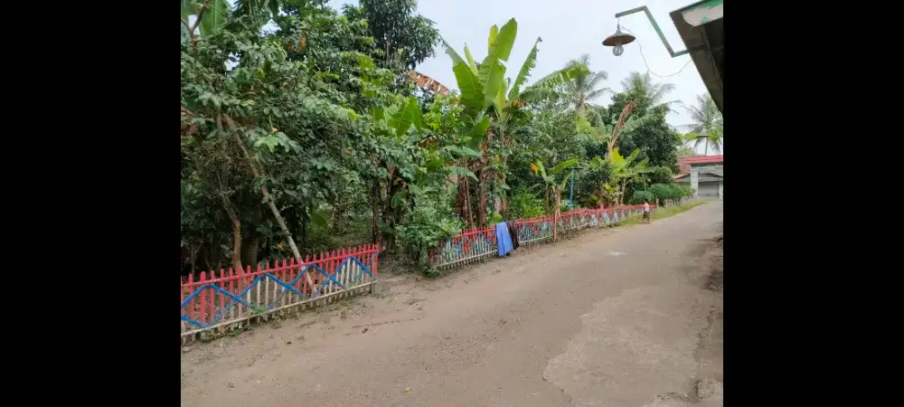 Tanah Kebun di Serang Kota
