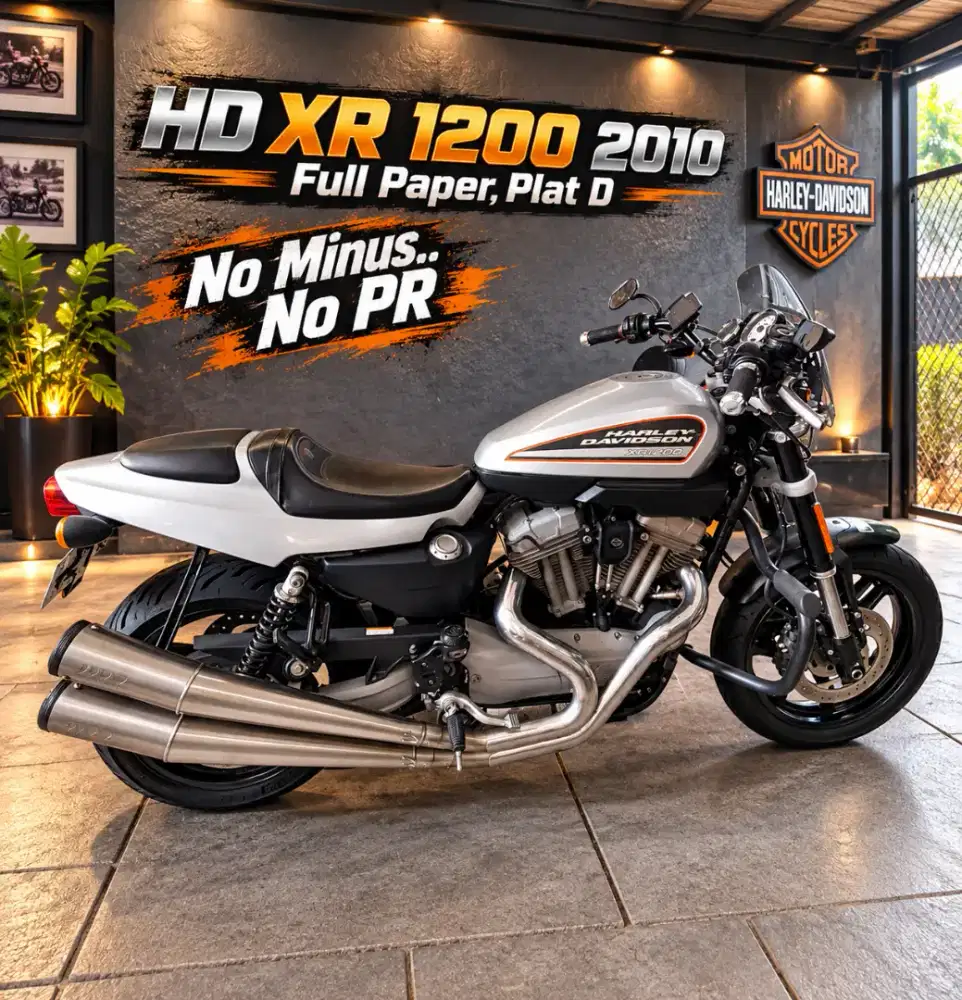 XR 1200 2010 Silver Full Paper