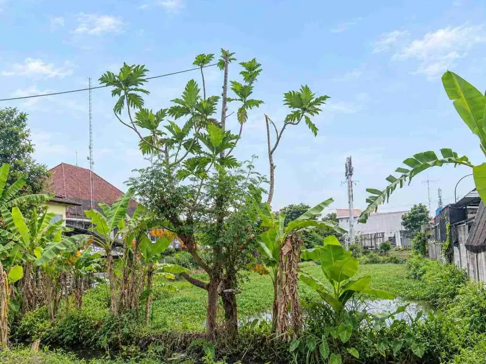 DIJUAL – Tanah SHM 975 m², Hook Lotte Mart Grosir Maguwoharjo