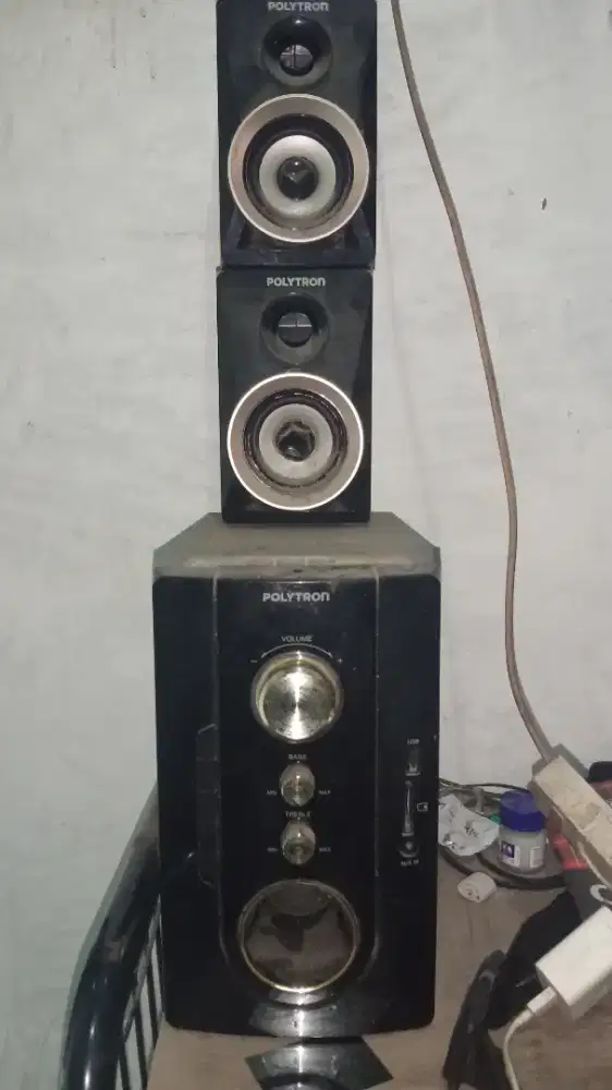 speaker Polytron