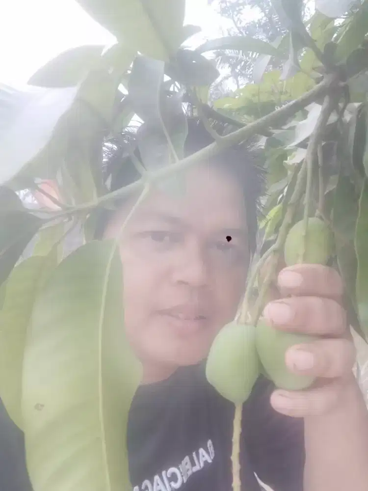 Cari pekerjaan ja penting halal