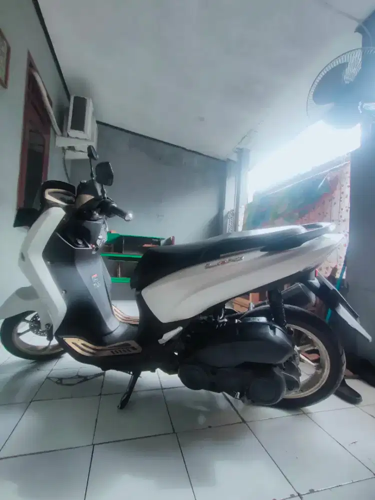 Lexi mulus terawat