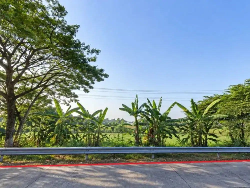 Tanah Bangsri Brebes Depan Jalan Pantura