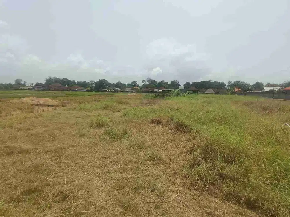 Tanah Jalan Kaki dan View Pantai Kelating Kerambitan Tabanan dkt Soori