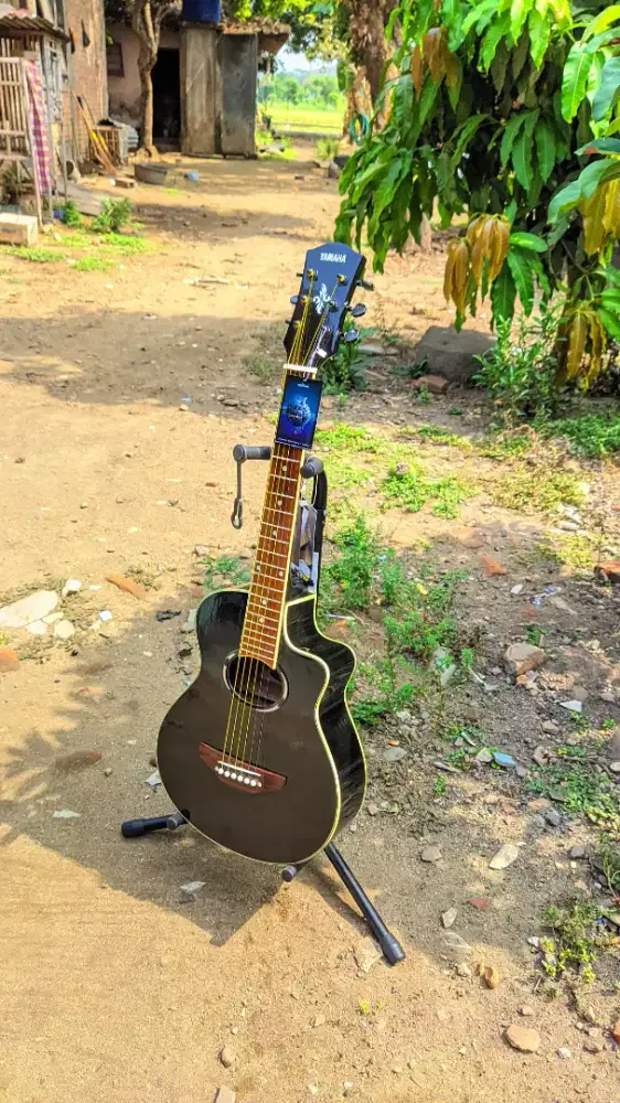 Gitar Akustik Yamaha Apx T2 3/4 High Quality Baru
‎