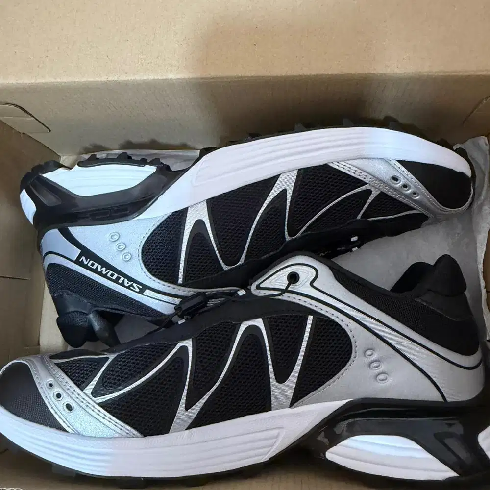 Salomon XT-whisper