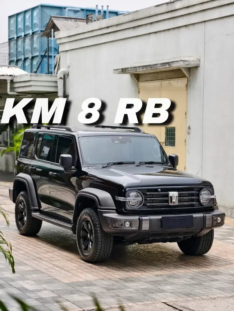 • HYBRID 4X4 • GWM TANK 300 TANK300 HEV 2024 / 2025