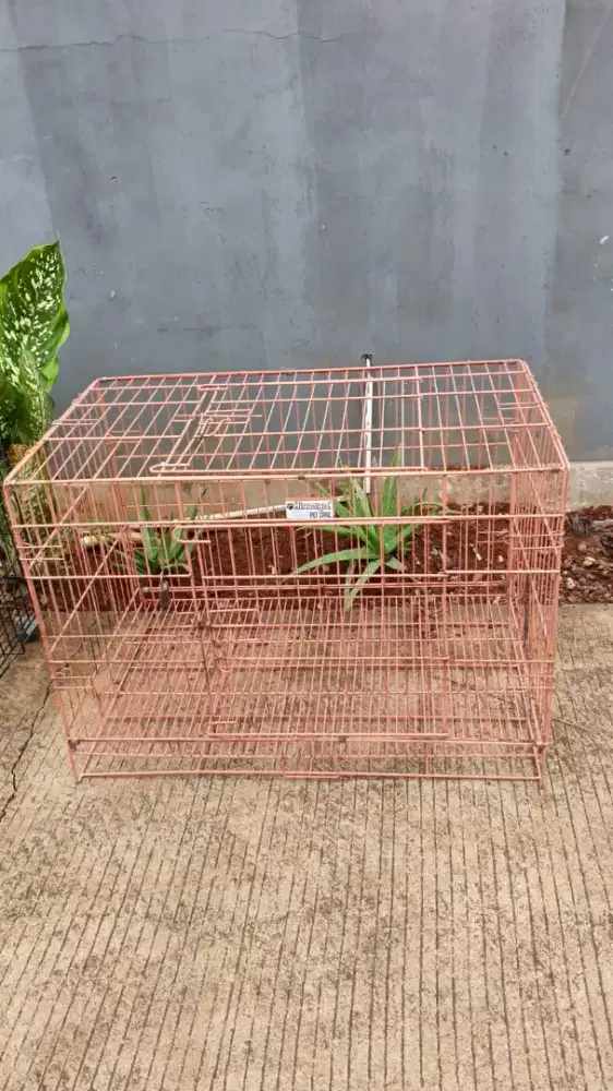 Jual kandang kucing murah meriah