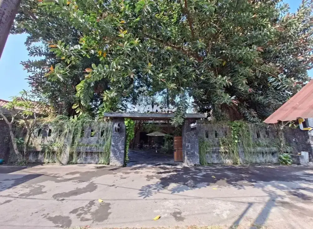 RUMAH MEWAH DAN VILA