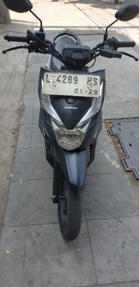 Bear Street th 2019 istimewa pjk hidu