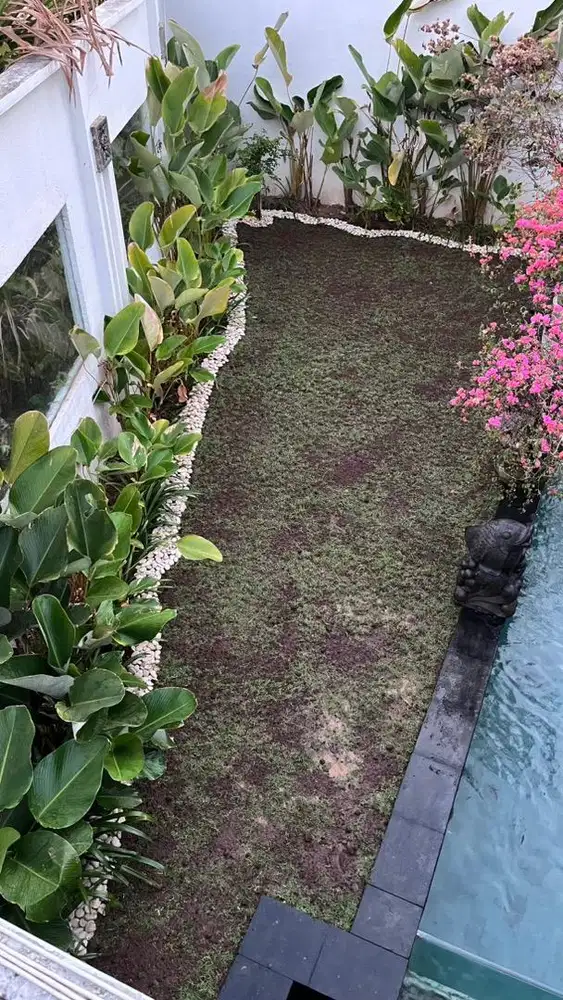 jasa pembuatan taman dan perawatan taman
