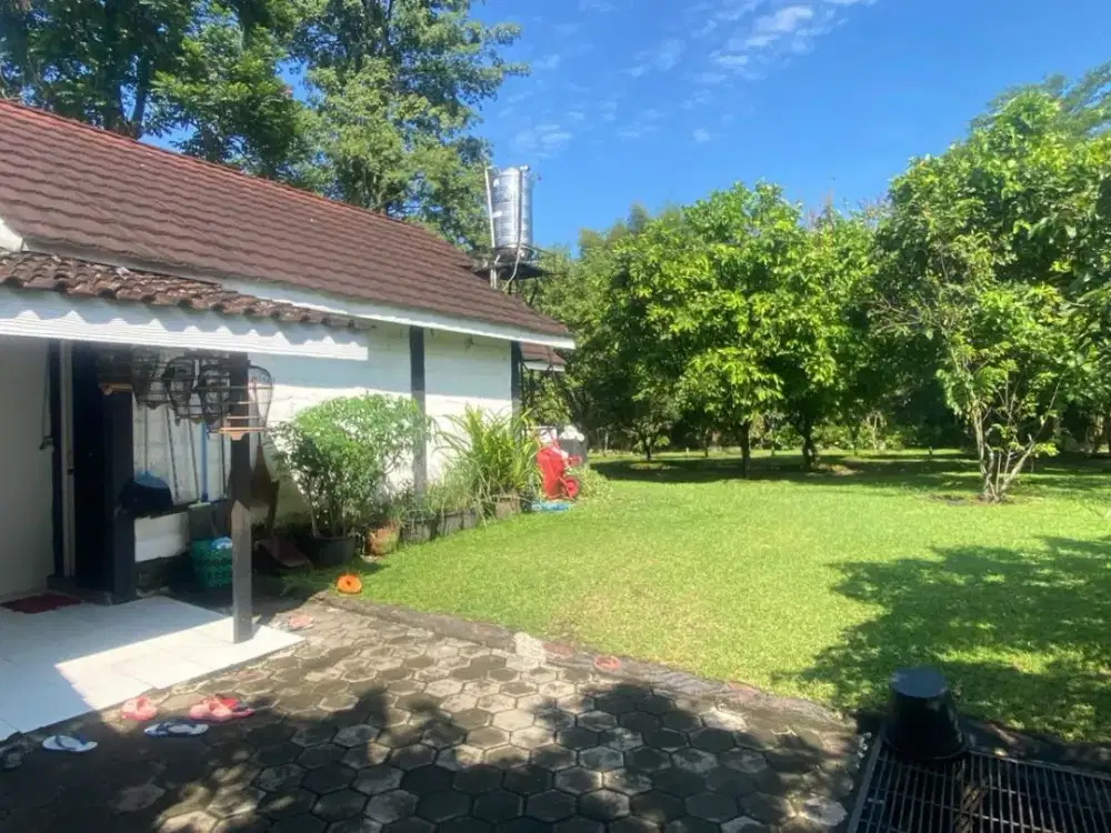 Dijual tanah Pekarangan SHM Luas tanah 7.119 m2