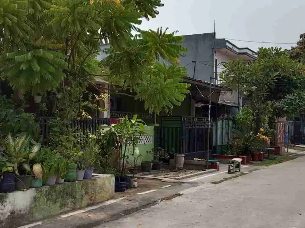 rumah super murah.